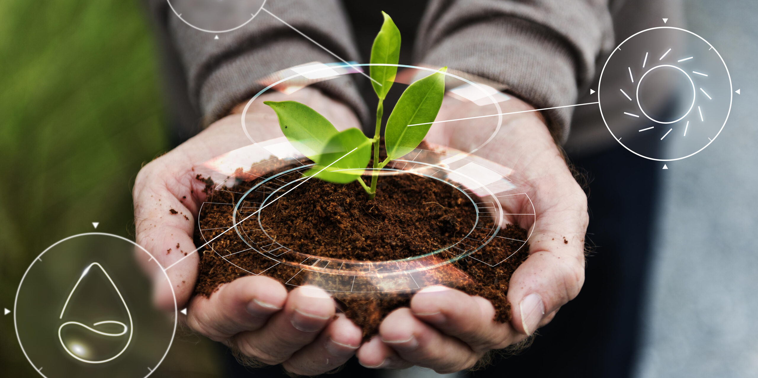 PER UNA AGRICOLTURA SOSTENIBILE, SANA E RISPETTOSA DELL’AMBIENTE – Il Futuro nel Piatto: Come l’Agricoltura sta cambiando per salvare il Pianeta